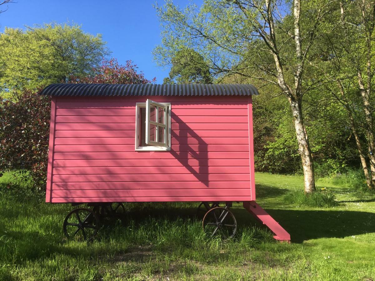 Blackstairs Shepherds Huts Killedmond Exterior foto